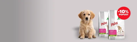 Ker si vaš mladič zasluži najboljši začetek