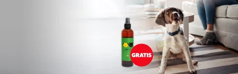 Zaščita pred klopi, bolhami in komarji