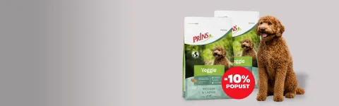 Vegetarijanska hrana za občutljive pse
