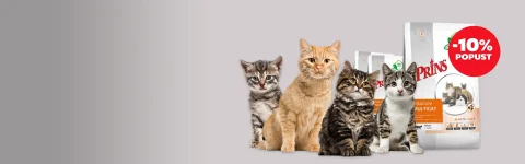 Naravna moč za radovedne mačke